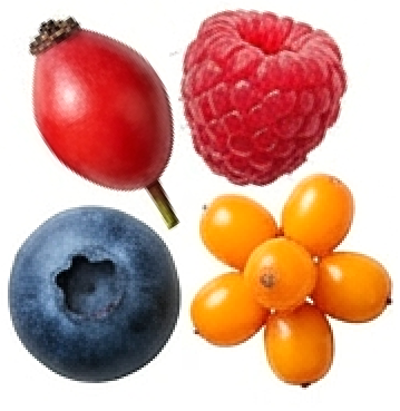 Черника, малина, облепиха и шиповник защищают от стресса