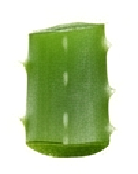 Сок алоэ вера успокаивает и увлажняет