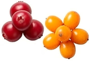 Брусника и облепиха нейтрализуют свободные радикалы, осветляют